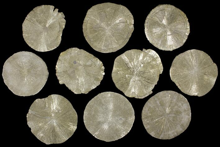 Lot: Pyrite Suns From Illinois - Pieces #91215